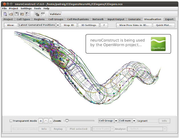 The OpenWorm project is using neuroConstruct to develop detailed models of the C. elegans nervous system.