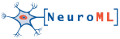 Download core project elements in NeuroML format